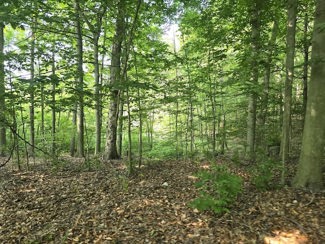 VL Cedar Creek Road, Delton, MI 49046