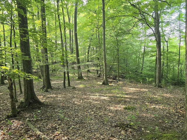 VL Cedar Creek Road, Delton, MI 49046