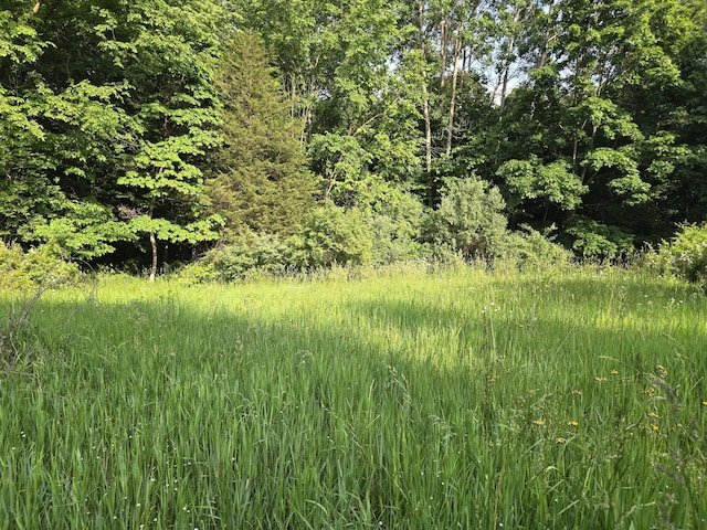 VL Cedar Creek Road, Delton, MI 49046