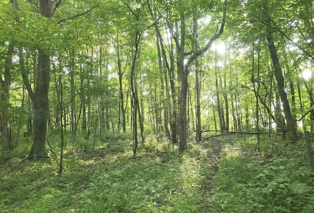 VL Cedar Creek Road, Delton, MI 49046