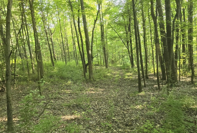 VL Cedar Creek Road, Delton, MI 49046