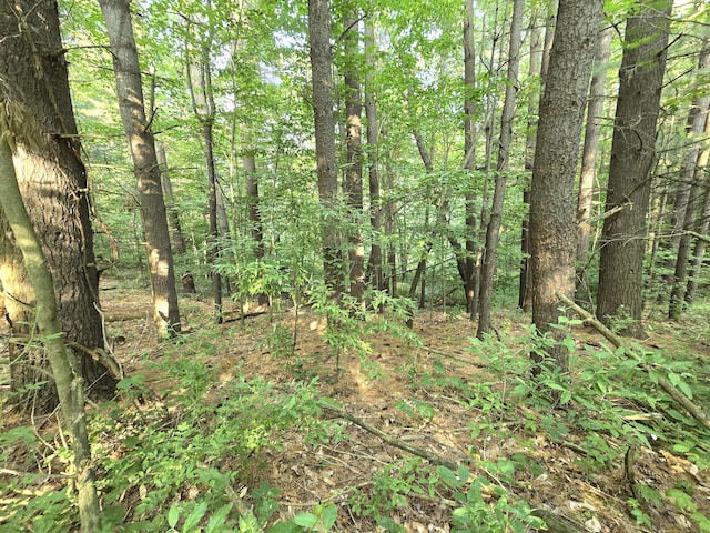 VL Cedar Creek Road, Delton, MI 49046
