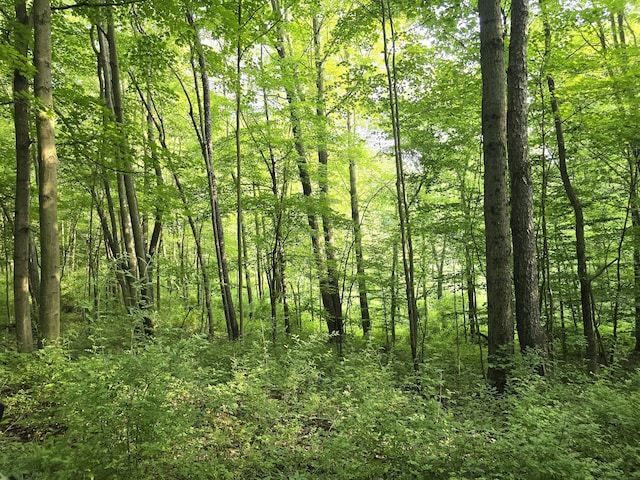 VL Cedar Creek Road, Delton, MI 49046