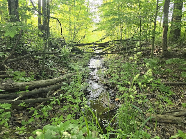 VL Cedar Creek Road, Delton, MI 49046