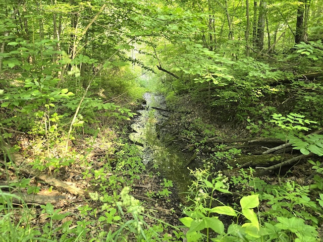 VL Cedar Creek Road, Delton, MI 49046