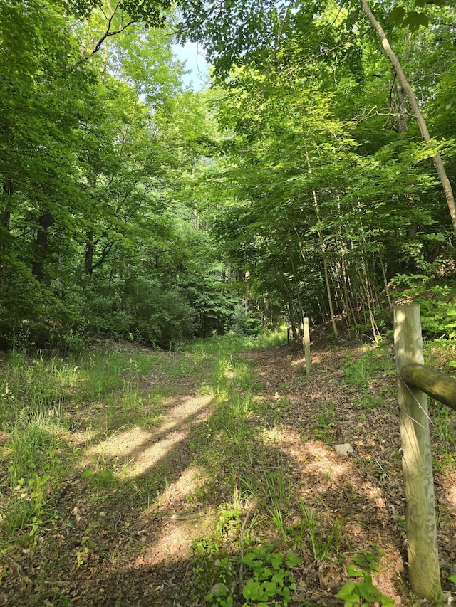 VL Cedar Creek Road, Delton, MI 49046