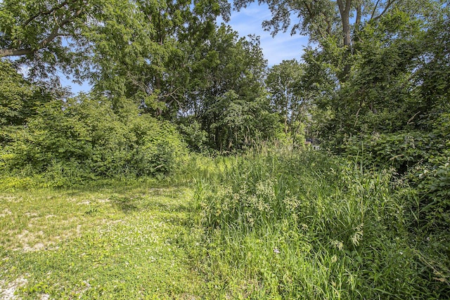 1288 Jewett Ave, Ann Arbor, MI 48104 - photo 3