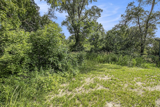 1288 Jewett Ave, Ann Arbor, MI 48104 - photo 4