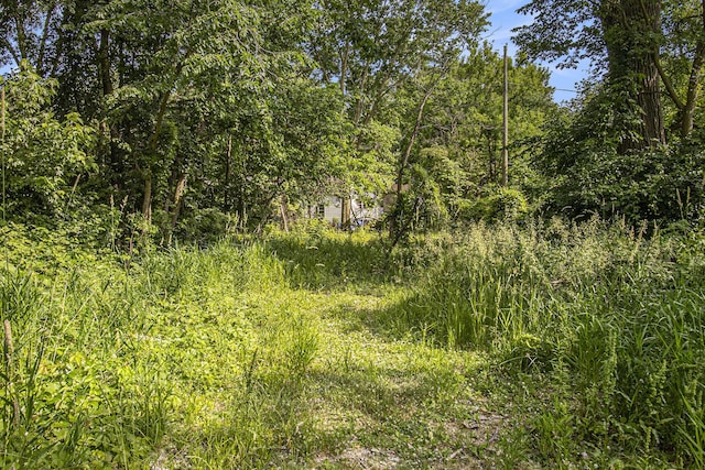 1288 Jewett Ave, Ann Arbor, MI 48104 - photo 5