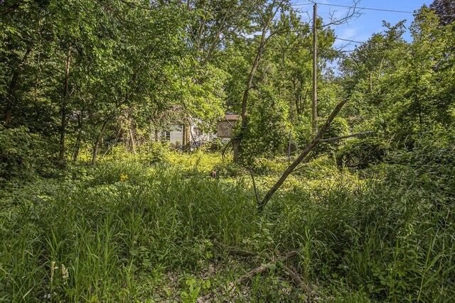 1288 Jewett Ave, Ann Arbor, MI 48104 - photo 6
