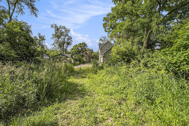 1288 Jewett Ave, Ann Arbor, MI 48104 - photo 7