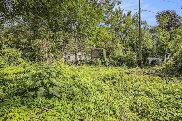1288 Jewett Ave, Ann Arbor, MI 48104 - photo 8