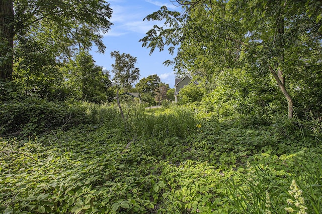 1288 Jewett Ave, Ann Arbor, MI 48104 - photo 9
