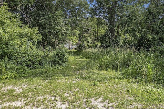 1288 Jewett Ave, Ann Arbor, MI 48104 - photo 11