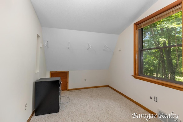 9550 Pere Marquette Dr, Stanwood, MI 49346 - bonus room with lofted ceiling and carpet flooring