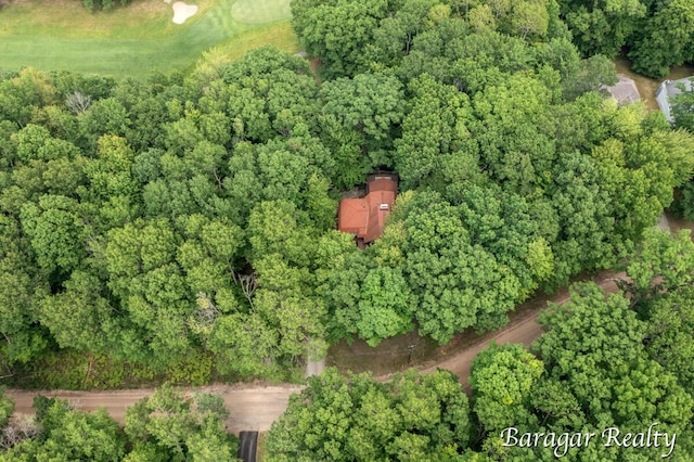 9550 Pere Marquette Dr, Stanwood, MI 49346 - aerial view of property and surrounding area