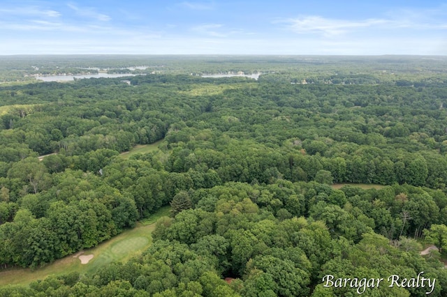 9550 Pere Marquette Dr, Stanwood, MI 49346 - drone / aerial view of a forest