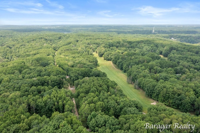 9550 Pere Marquette Dr, Stanwood, MI 49346 - aerial view of a forest