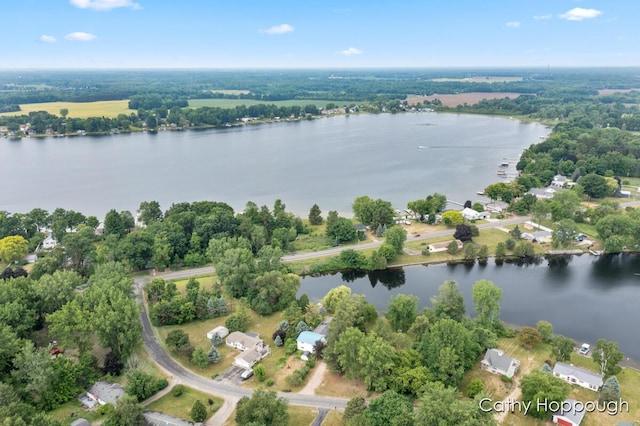 3737 E Shore Dr, Stanton, MI 48888 - photo 2