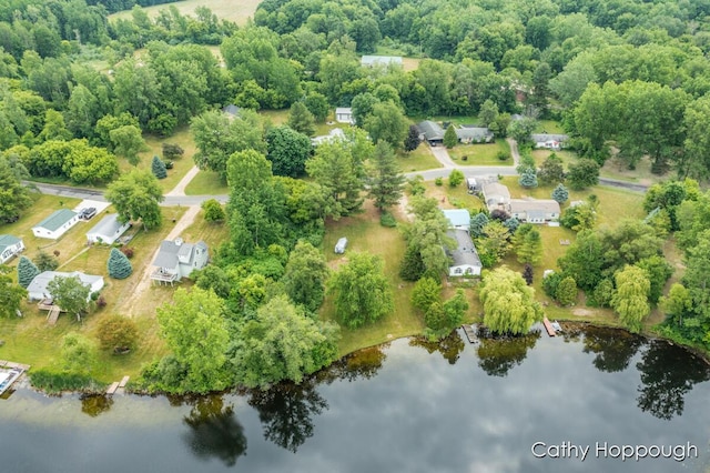 3737 E Shore Dr, Stanton, MI 48888 - photo 3