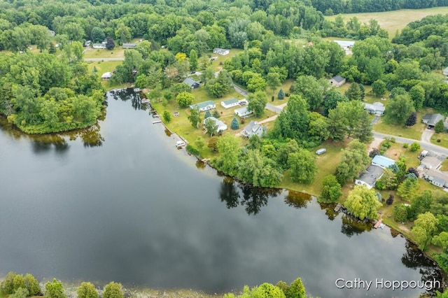 3737 E Shore Dr, Stanton, MI 48888 - photo 1