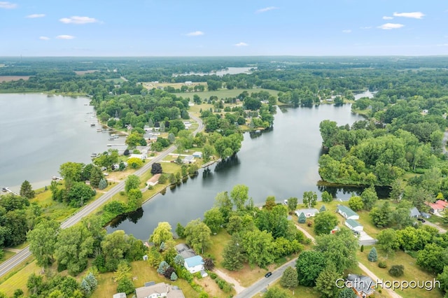 3737 E Shore Dr, Stanton, MI 48888 - photo 4