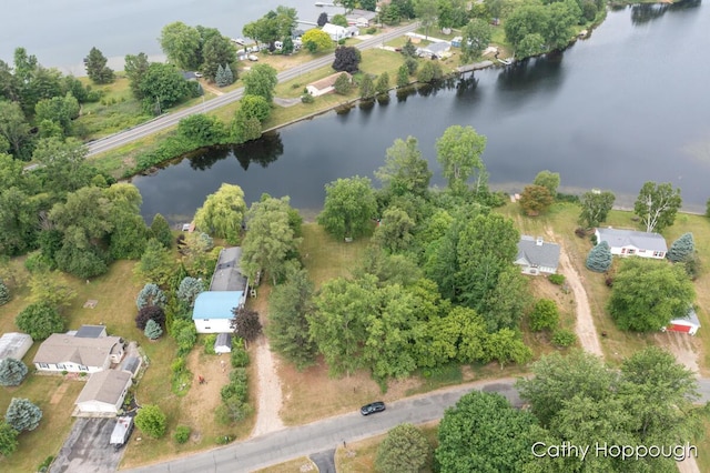 3737 E Shore Dr, Stanton, MI 48888 - photo 5