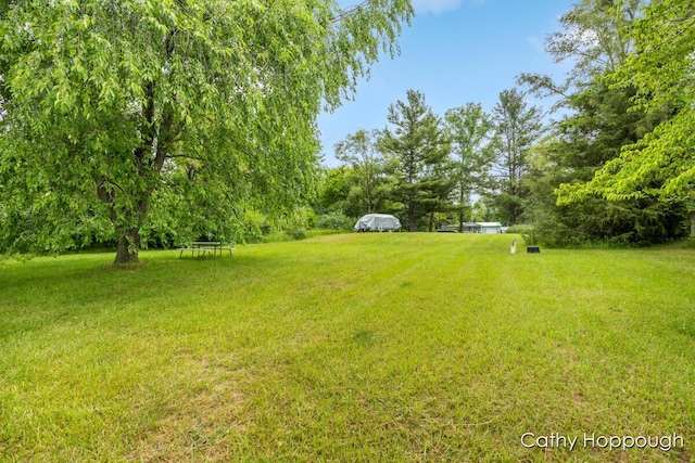 3737 E Shore Dr, Stanton, MI 48888 - photo 6