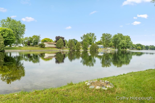 3737 E Shore Dr, Stanton, MI 48888 - photo 7