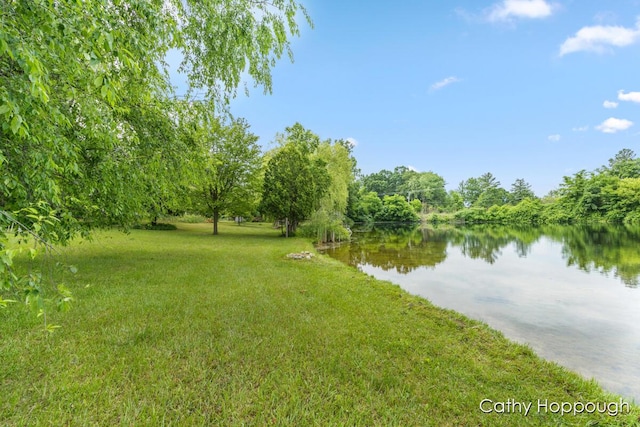 3737 E Shore Dr, Stanton, MI 48888 - photo 9