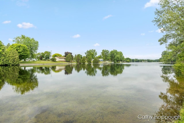 3737 E Shore Dr, Stanton, MI 48888 - photo 10