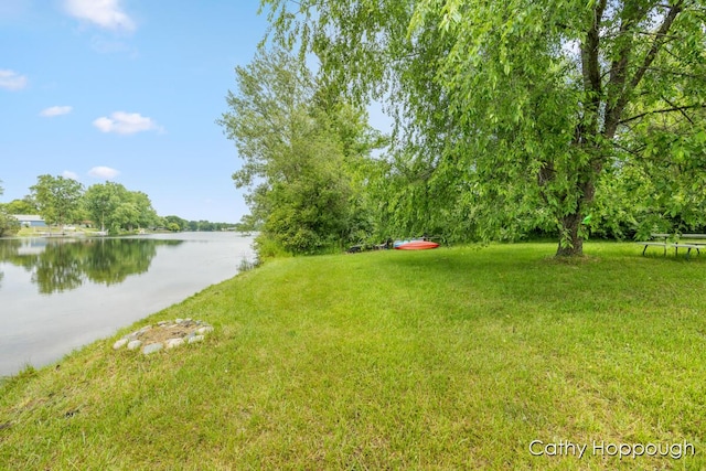 3737 E Shore Dr, Stanton, MI 48888 - photo 11