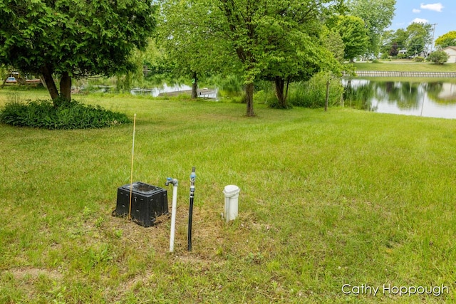 3737 E Shore Dr, Stanton, MI 48888 - photo 13