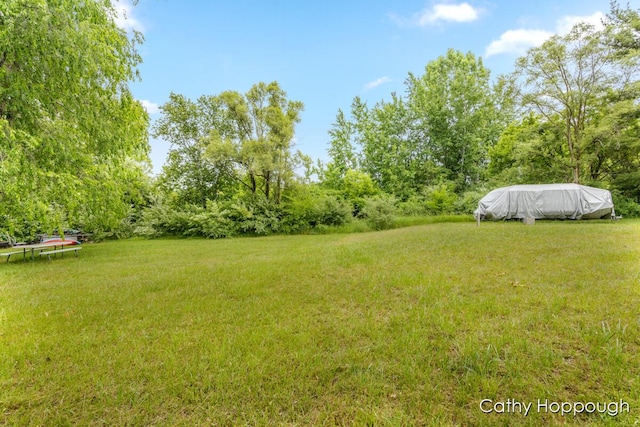 3737 E Shore Dr, Stanton, MI 48888 - photo 14