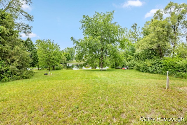 3737 E Shore Dr, Stanton, MI 48888 - photo 15