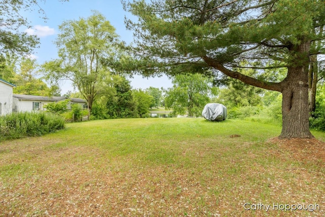 3737 E Shore Dr, Stanton, MI 48888 - photo 18
