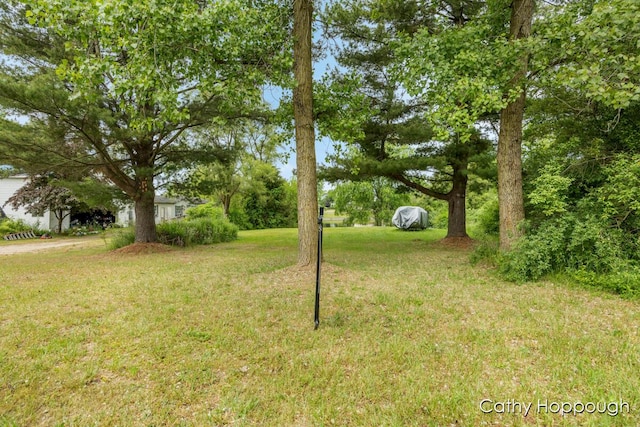 3737 E Shore Dr, Stanton, MI 48888 - photo 19