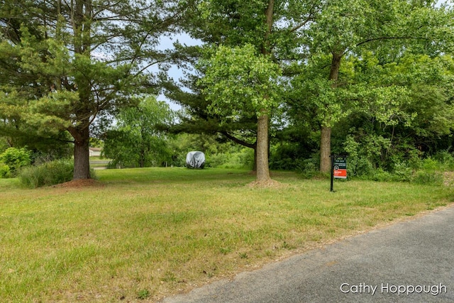 3737 E Shore Dr, Stanton, MI 48888 - photo 20