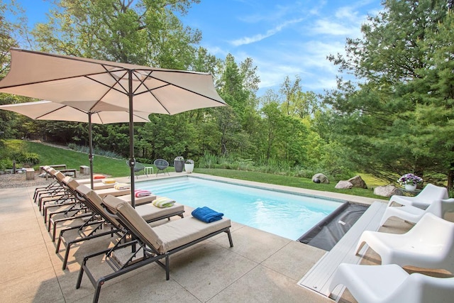 16128 Walnut Ct, Three Oaks, MI 49128 - swimming pool featuring a patio area