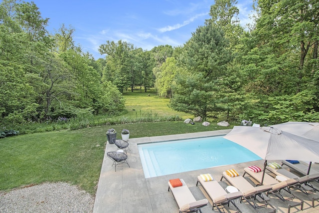 16128 Walnut Ct, Three Oaks, MI 49128 - view of pool featuring a yard, a patio, and a forest view