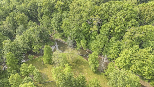 16128 Walnut Ct, Three Oaks, MI 49128 - aerial view of property's location
