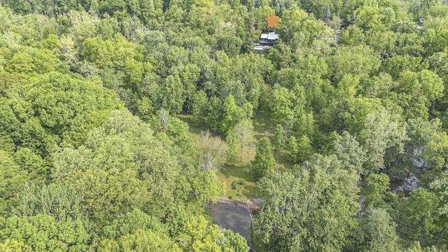 16128 Walnut Ct, Three Oaks, MI 49128 - view of property location with a heavily wooded area