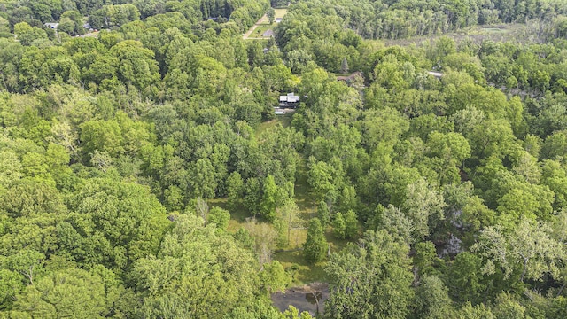 16128 Walnut Ct, Three Oaks, MI 49128 - aerial view of property and surrounding area featuring a heavily wooded area