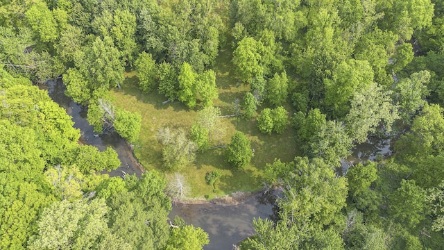 16128 Walnut Ct, Three Oaks, MI 49128 - bird's eye view of a nearby body of water