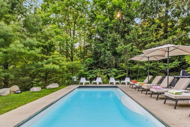 16128 Walnut Ct, Three Oaks, MI 49128 - outdoor pool featuring a patio and view of wooded area