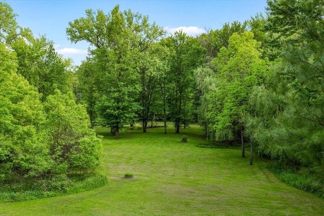 16128 Walnut Ct, Three Oaks, MI 49128 - view of grassy yard featuring a view of trees