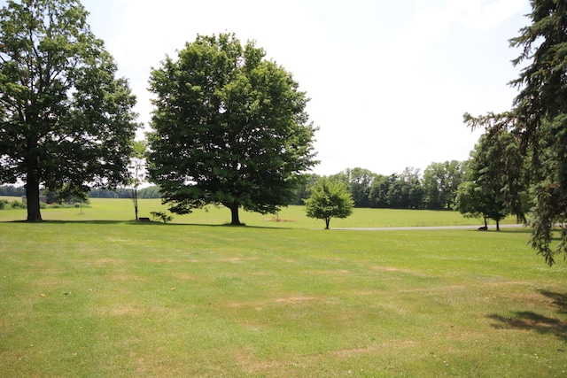 14585 E V Ave, Fulton, MI 49052 - view of property's community featuring a yard