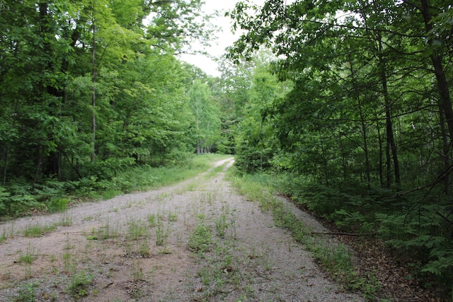 0VL S Cook Ave, Harrison, MI 48625
