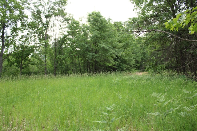 0VL S Cook Ave, Harrison, MI 48625