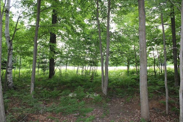 0VL S Cook Ave, Harrison, MI 48625